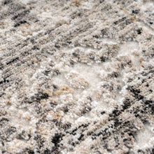 Lade das Bild in den Galerie-Viewer, Amora 258 Grau 240cm x 300cm
