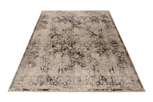 Lade das Bild in den Galerie-Viewer, Amora 258 Grau 240cm x 300cm
