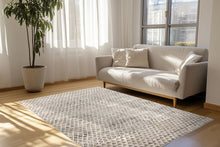 Lade das Bild in den Galerie-Viewer, Amora 261 Grau 120cm x 170cm
