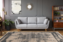 Lade das Bild in den Galerie-Viewer, Adela 225 Grau 160 x 230 cm
