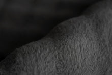 Lade das Bild in den Galerie-Viewer, Hailey 125 Schwarz 200 x 290 cm
